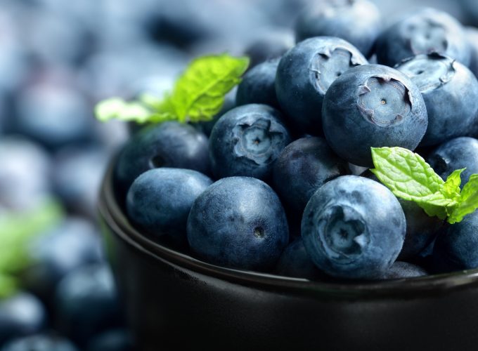 Wallpaper blueberry, berries, 4k, Food 313923230